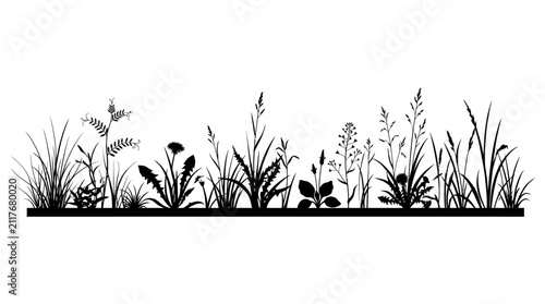Fotografía Mixed grass and plant silhouette presents a diverse array of wild foliage, including tall blades and broader leaves, forming a natural border in stark black against a plain white field
