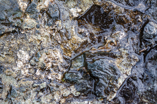 Foto Close-up texture of wet rocks with water pooling in crevices and on surfaces, ba