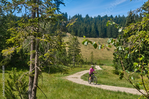 Attractive senior woman riding an electric bicycle on a mountain biking tour through sunny alpine meadows and scenic mountain landscapes above Balderschwang, Allgäu Alps, Bavaria, Germany.
