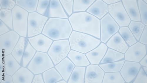 Bild auf Leinwand Cellular structure with nuclei