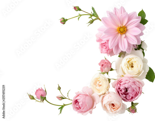 Pink and white roses floral border