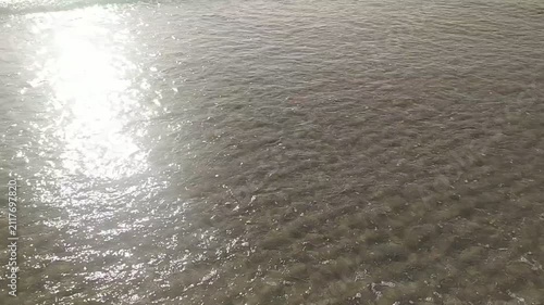 A serene closeup of crystal clear ocean water gently lapping the shore at sunrise. Nobody is present. The sun reflects golden light on ripples, evoking peace, tranquility, and natural beauty.