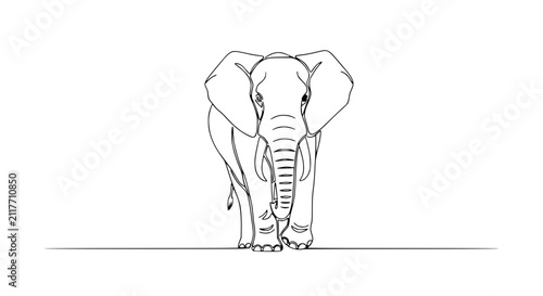 Minimalist Elephant Outline Drawing, Front View, Simple Line Art Illustration