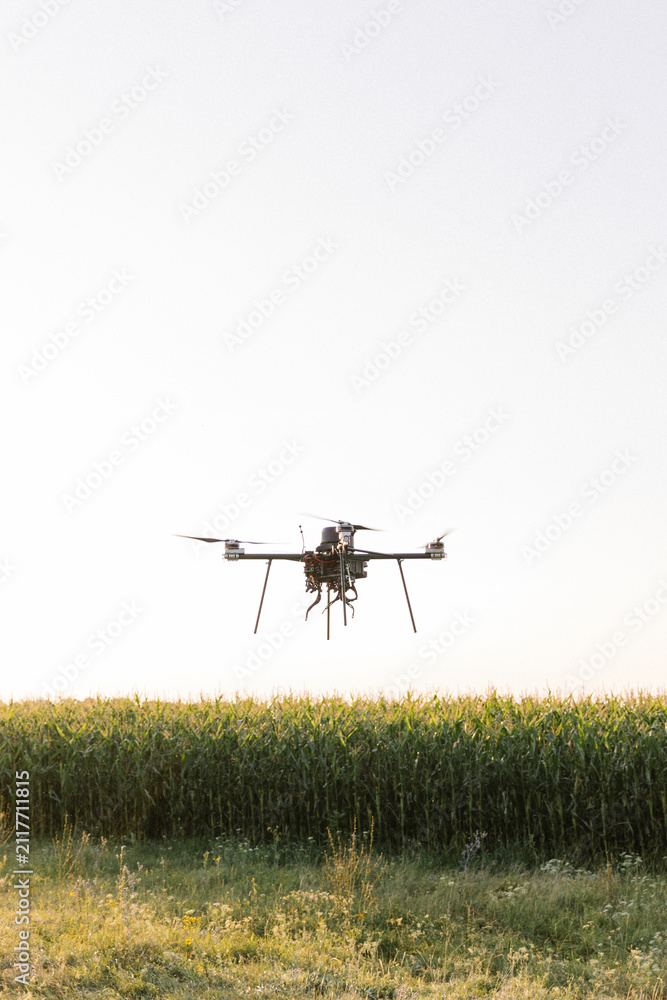 Obraz premium Ukrainian heavy quadcopter drone flying during training