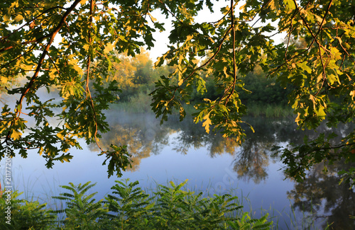 Golden hour sunlight filters through oak leaves onto a misty river scene