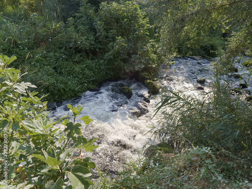 Foto Flow of water in a stream with plants around it during the day