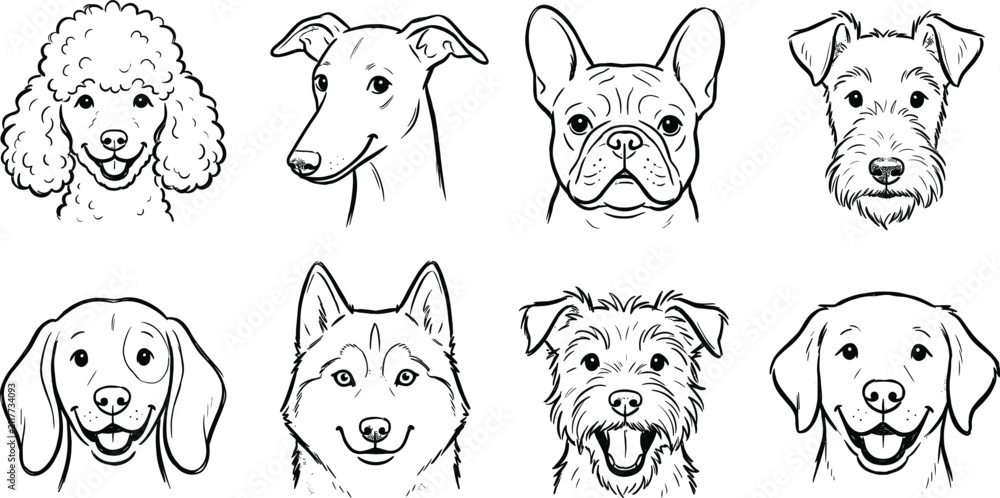 Fototapeta premium Cute set of different dog breeds hand drawn vector line art illustration icons