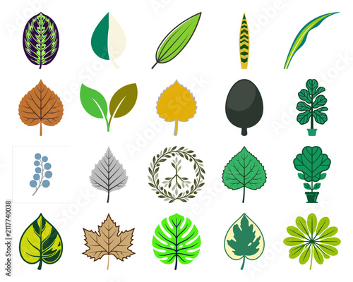Comprehensive collection of stylized leaf icons featuring maple monstera and various foliage shapes for nature and environmental designs