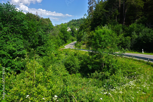 Die Schmeientalstrasse im Landschaftsschutzgebiet Schmeiental; N