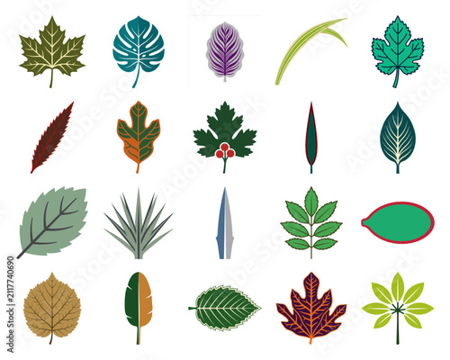 Set of diverse botanical leaf icons in various styles and colors for natural graphic design elements and environmental projects