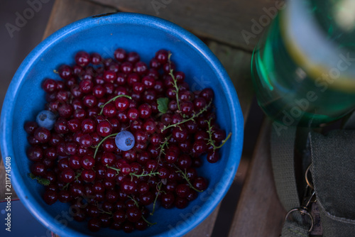 Fotografie Freshly picked redcurrants with two blueberries in a blue ceramic bowl