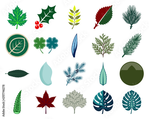 Set of diverse botanical leaf icons featuring various foliage shapes like maple holly clover and monstera for nature design.