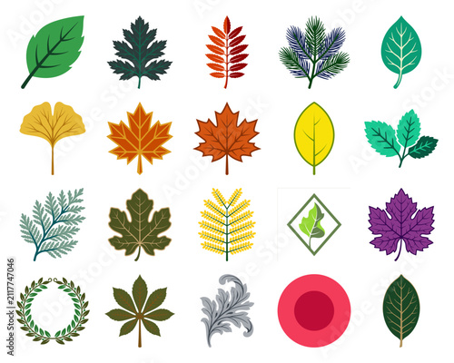 Diverse Collection of Colorful Leaf Icons and Botanical Symbols Representing Various Tree Species for Ecology and Autumn Design Themes.