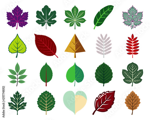 Comprehensive collection of stylized colorful leaf silhouettes for ecological and seasonal nature illustration graphic resources.