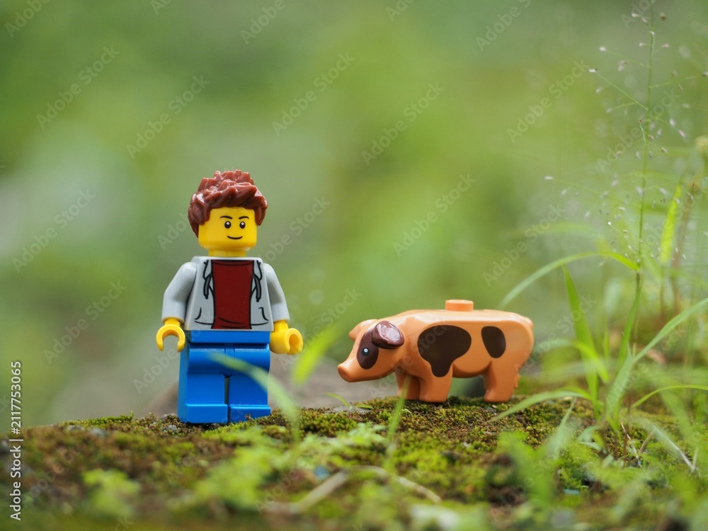Fototapeta premium Indonesia - February 14, 2023 : Mini toy of action figure at grassland with blurred background. Toy photography concept. Farmer at outdoor conceptual design.