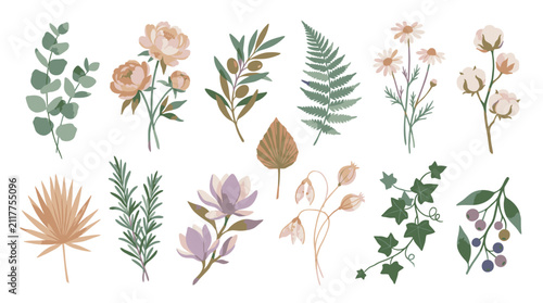 Colorful Illustrated Botanical Flower and Leaf Collection.