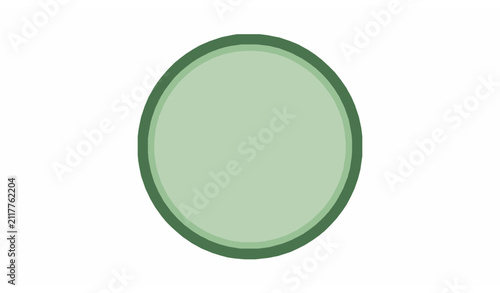 Minimal Cucumber Cross Section Vegetable Vector Icon on White