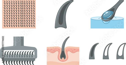 Foto Biomimicry Shark Skin Engineering Vector Set with Microscopic Denticle Texture P