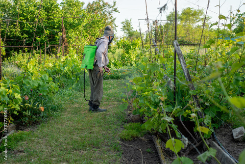 Gardener sprays the vineyard with pesticides
