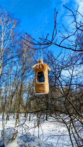 A twine-wrapped feeder made from a reused bottle hangs among leafless branches in a bright, peaceful winter park. The authentic image highlights sustainability, bird support, and creative reuse.