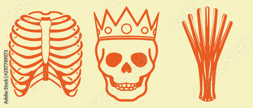 Canvastavla Human skeletal anatomy set for halloween featuring rib cage structure crowned king skull head and bony hand fingers for gothic artwork