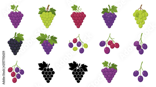 Bild auf Leinwand Collection of Grape Vector Illustrations Featuring Green, Red and Black Grape Bu