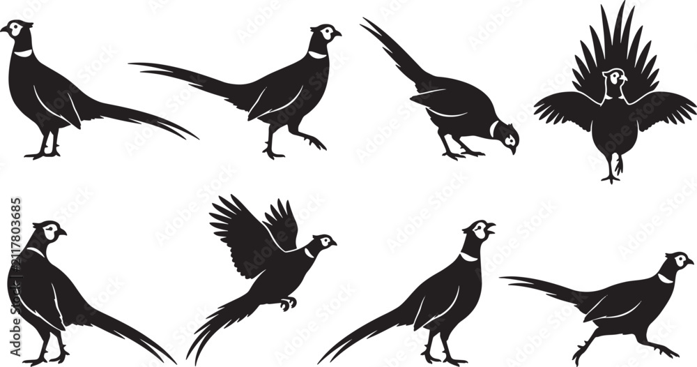 Fototapeta premium Pheasant bird silhouettes collection featuring various poses and movements in a flat black vector graphic design
