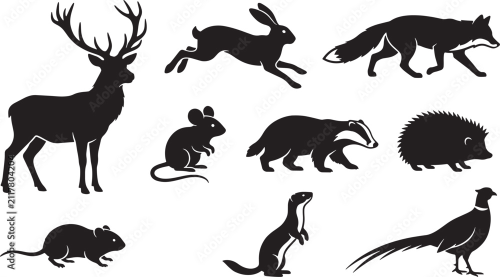 Obraz premium Set of wild forest animal silhouettes including deer rabbit fox badger hedgehog mouse and pheasant vector illustration