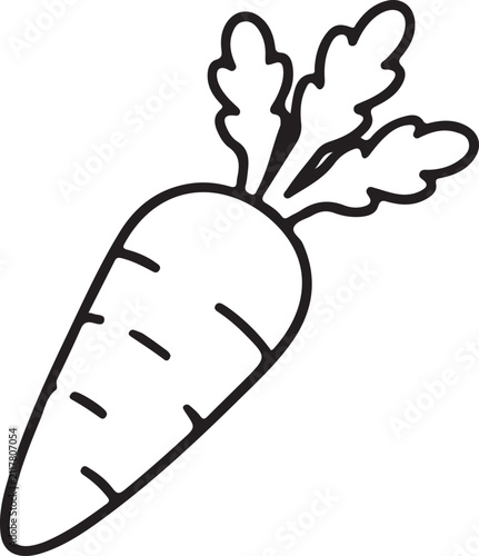 Illustrated Carrot Isolated