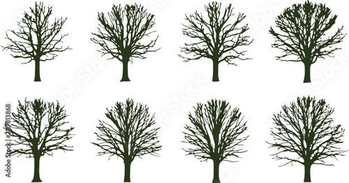 Collection of various bare deciduous trees with intricate branch patterns isolated on transparent background