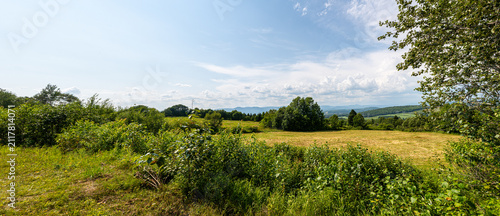 Rural landscape with a harvested yellow field surrounded by green trees and bushes, rolling hills in the distance, under a blue cloudy sky.