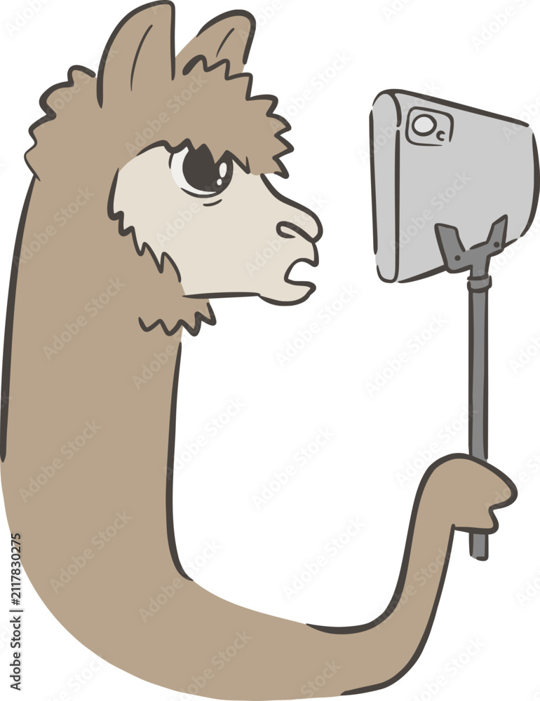 Fototapeta premium Vector llama holding smartphone on selfie stick, talking during funny live streaming session