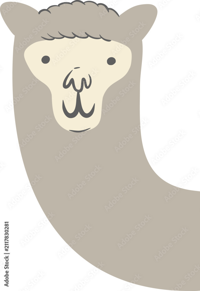 Fototapeta premium Funny vector illustration of curious llama peeking from scene edge with playful cheerful expression