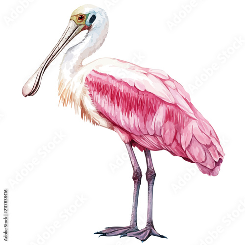 Roseate Spoonbill, watercolor clipart showcasing whimsical details and harmonious color flow, isolated on a white background.