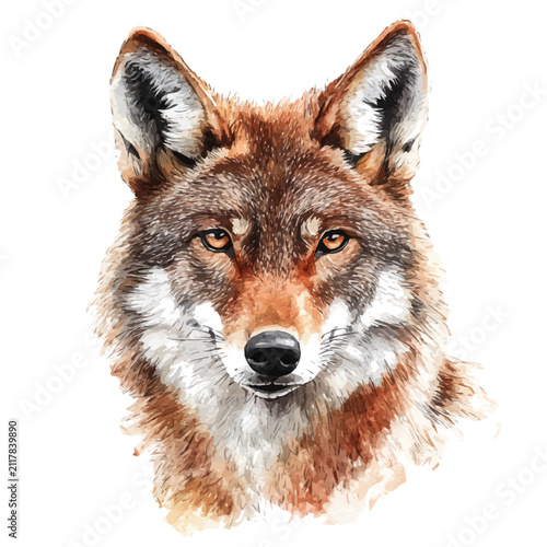 Red Wolf, watercolor clipart showcasing whimsical details and harmonious color flow, isolated on a white background.