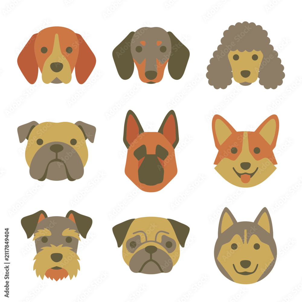 Fototapeta premium Set of Various Dog Breed Face Icons Featuring Flat Vector Illustrations of Popular Canine Characters for Pet Themed Design Projects