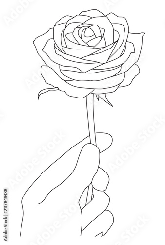 Hand Holding Single Rose Flower Minimalist Romantic Line Art Illustration
