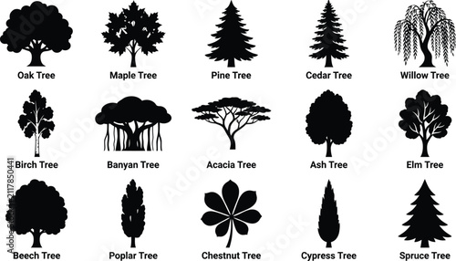 Fifteen black tree silhouettes with identification labels including oak, maple, pine, willow, and banyan on a white background