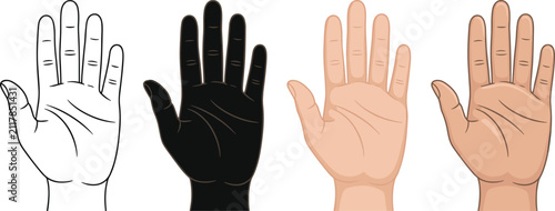 Foto Hand gestures, palm up, black glove, white glove, beige glove, isolated, busines
