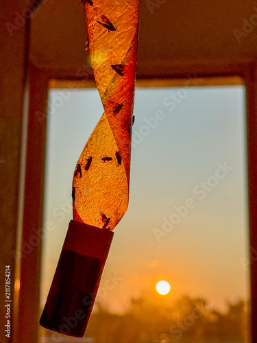 A decorative ribbon spirals against a sunset backdrop, creating a serene and warm atmosphere.
