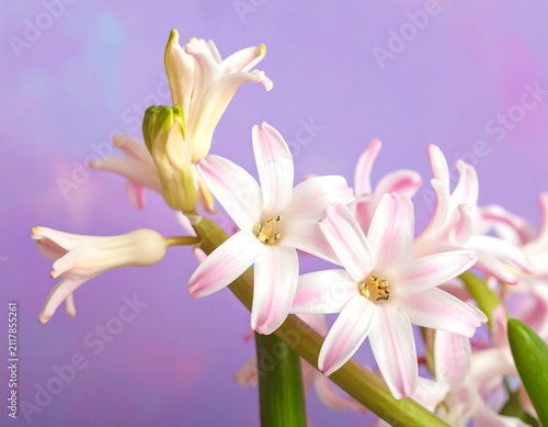 Floral Easter Elegance with Delicate Spring Blossoms on Soft Lavender Background, Elegant Holiday Celebration Design for Seasonal Greeting and Decorative Artwork