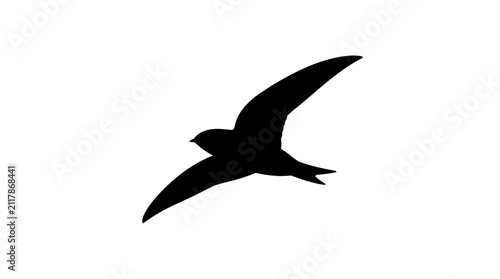 Flying bird silhouette against a white background simple black shape silhouette