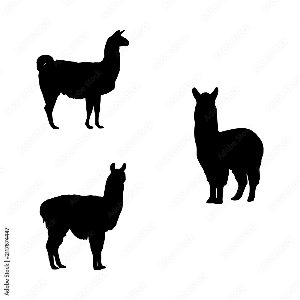 Obraz premium Llama and Alpaca Silhouette Set, South American Animal Vector Icon Collection