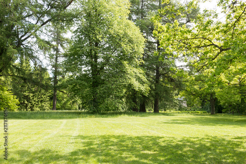 A scenic landscape view of historic Herttoniemi Manor Park in Helsinki, Finland, featuring sun-drenched paths, majestic old deciduous trees, and lush green lawns under a bright summer sky.