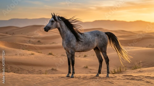 Majestic grey horse standing in the desert at sunset