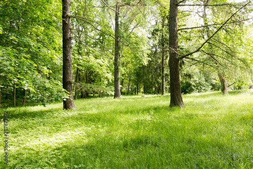 A scenic landscape view of historic Herttoniemi Manor Park in Helsinki, Finland, featuring sun-drenched paths, majestic old deciduous trees, and lush green lawns under a bright summer sky.