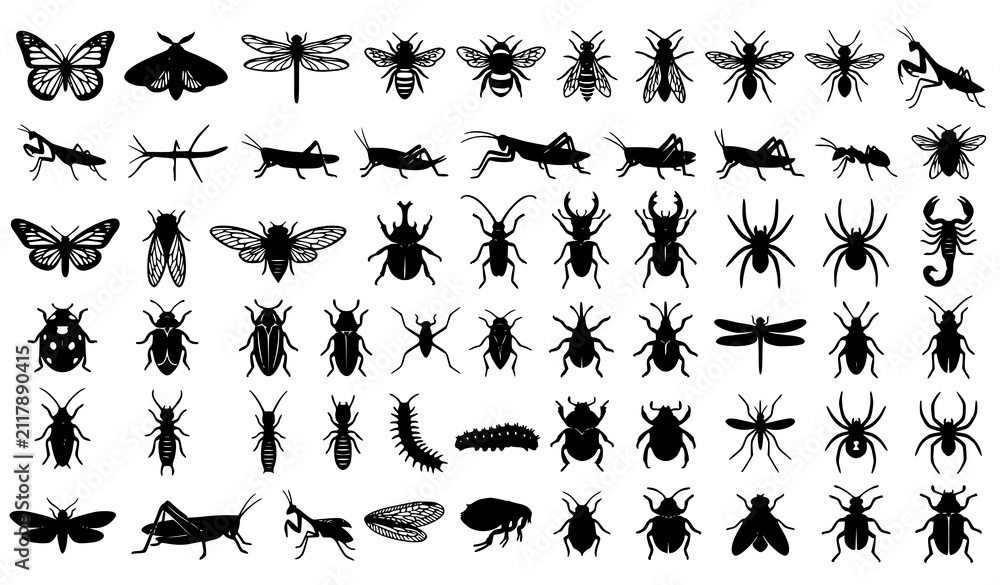 Fototapeta premium Black Silhouette Insects and Spiders Vector Icon Bundle