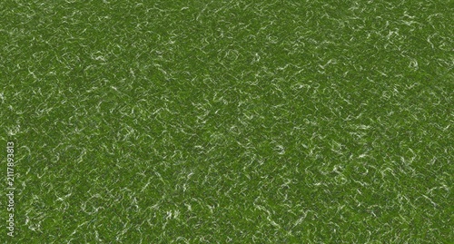 Close-up view of green grassy texture with natural speckles