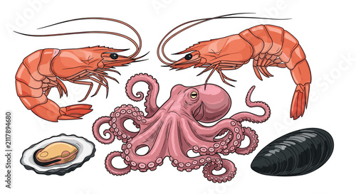 Fresh seafood collection containing raw pink octopus, delicious shrimps, opened oyster, and a black mussel shell.