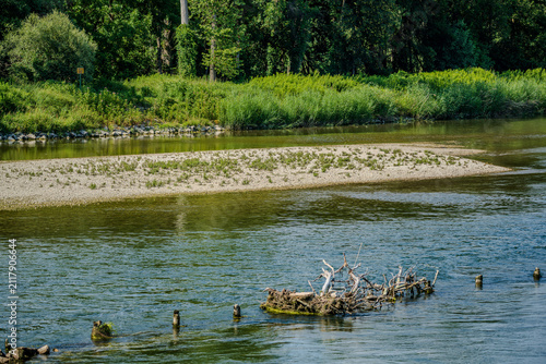 Ein Fluss mit einem Sandstrand und einem Schwemmgut im Wasser am Ufer